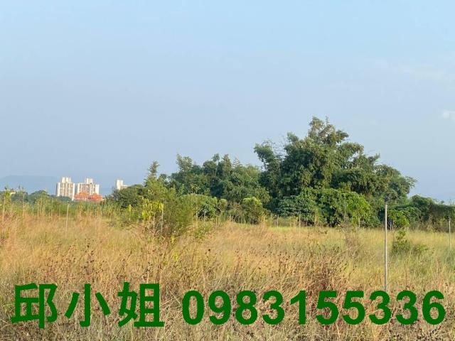 嘉義大林農地-1