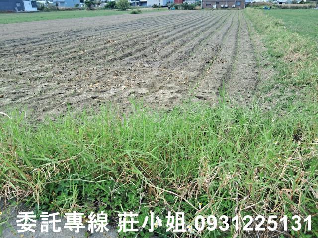 台南永康農地-1