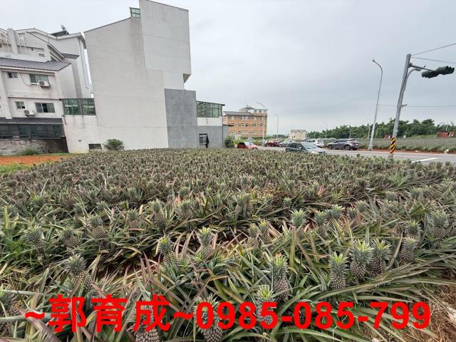民雄建地-7