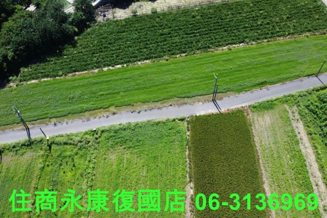 仁德農地-10