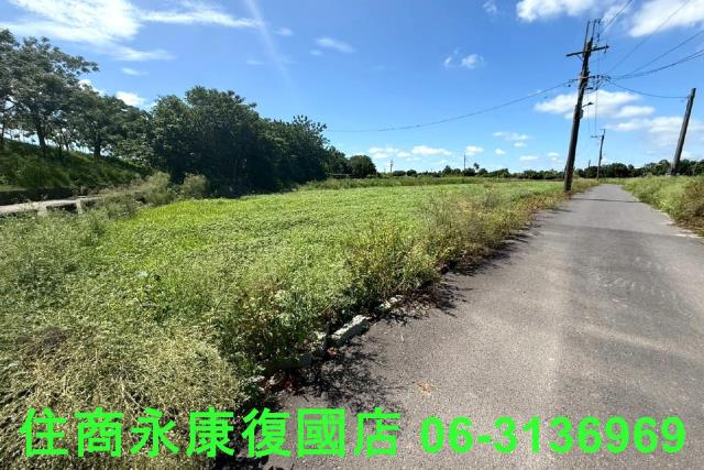仁德農地-11