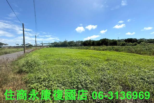 仁德農地-1