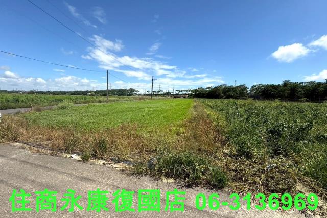 仁德農地-2