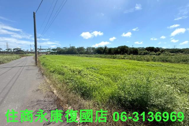 仁德農地-3