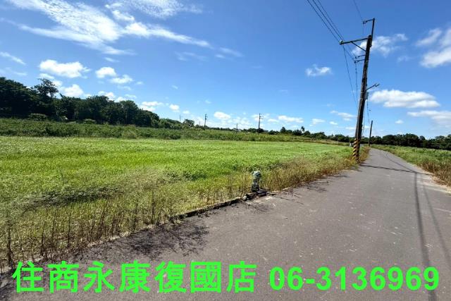 仁德農地-4