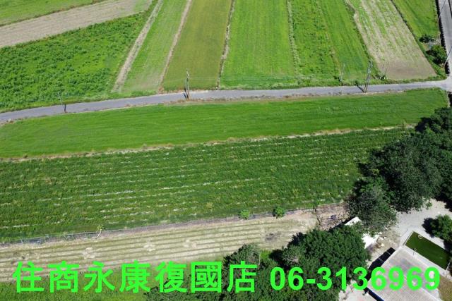 仁德農地-8