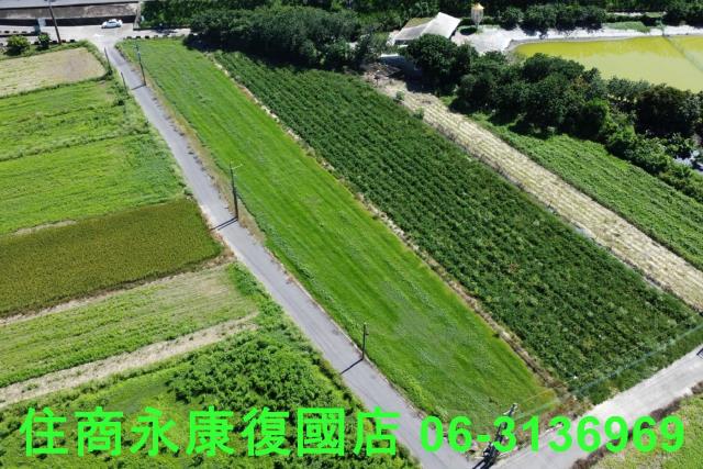 仁德農地-9