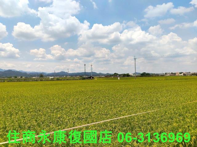 台南農地-2