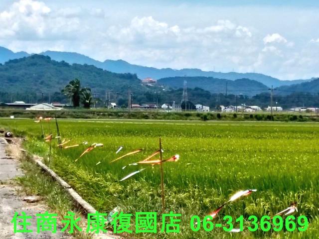 台南農地-8