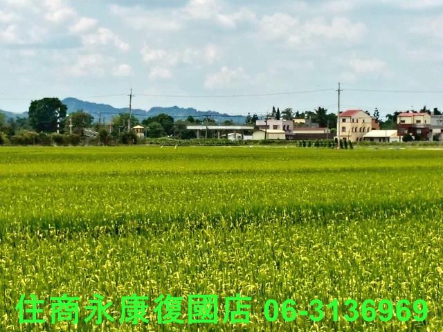 台南農地-9