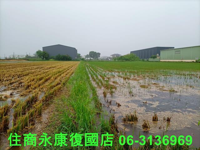 台南農地-11