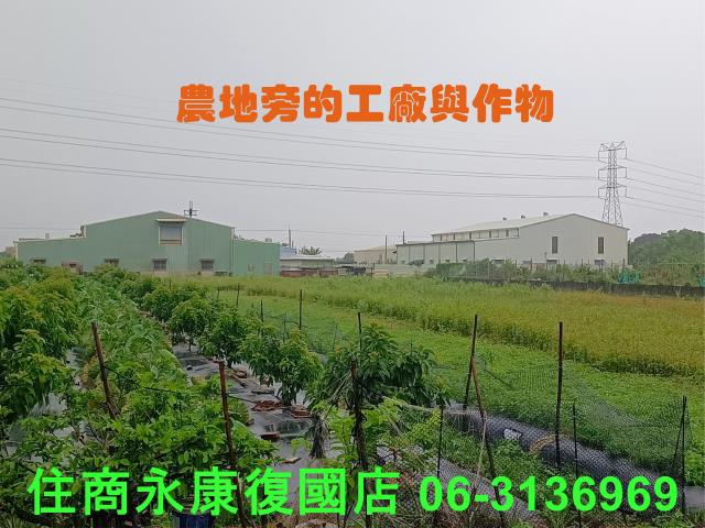台南農地-3