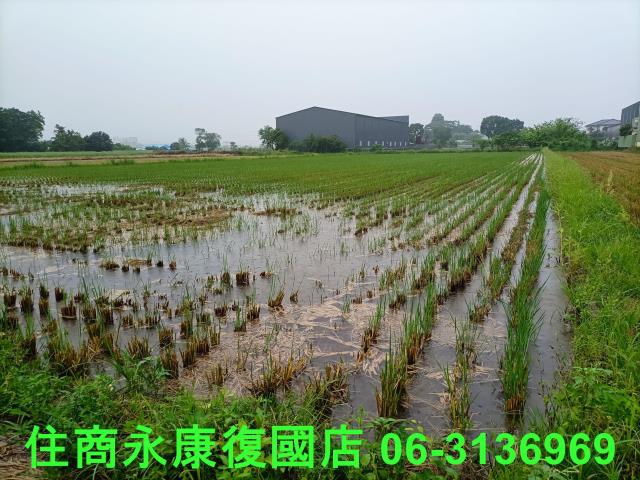 台南農地-9