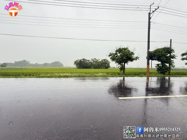台南農地-2