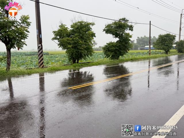 台南農地-4