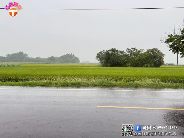 台南農地-5