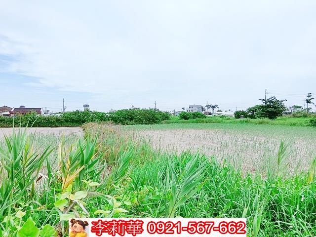台南農地-11