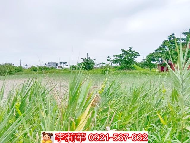 台南農地-12