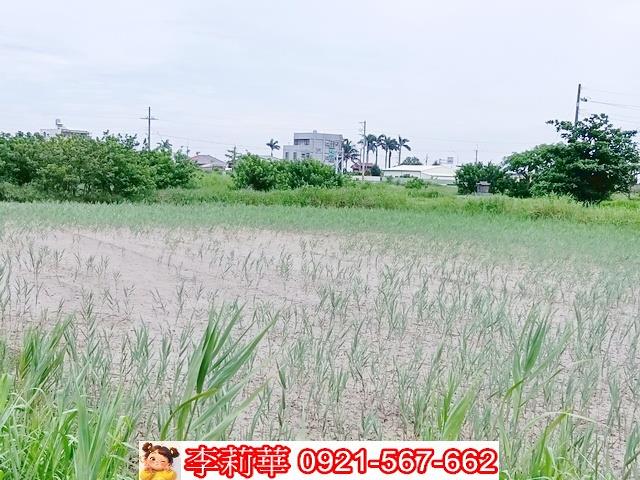 台南農地-13