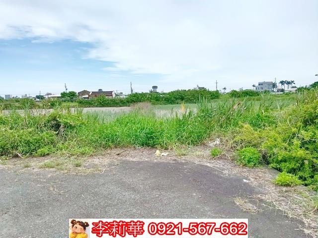 台南農地-8