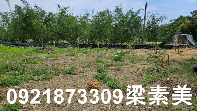 台南關廟農地-1