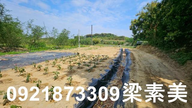 台南關廟農地-4