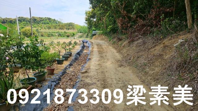 台南關廟農地-5