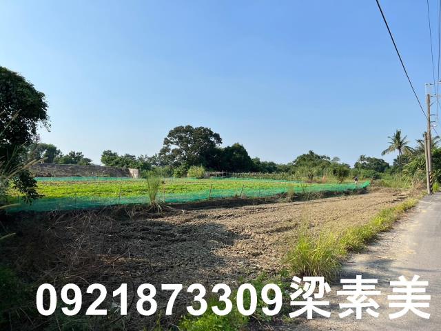 台南關廟農地-8