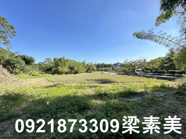 台南關廟農地-1