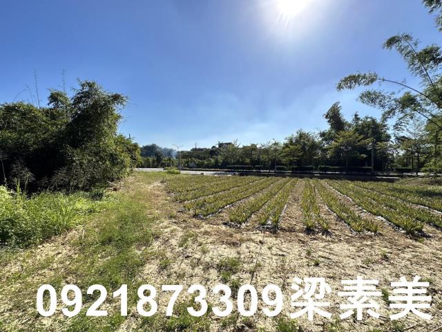 台南關廟農地-2