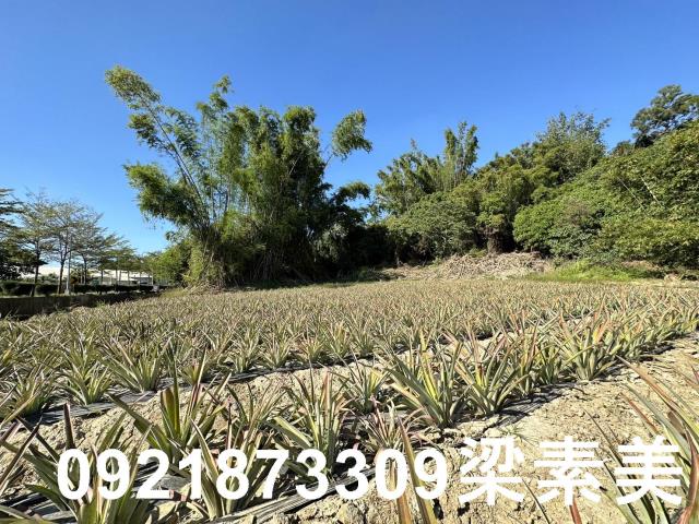 台南關廟農地-3