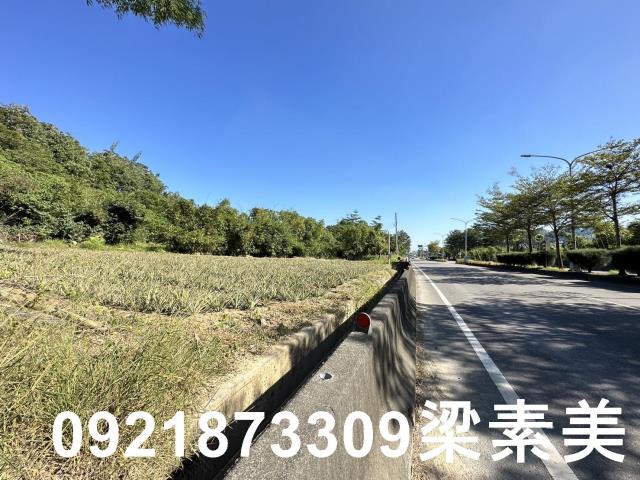 台南關廟農地-4
