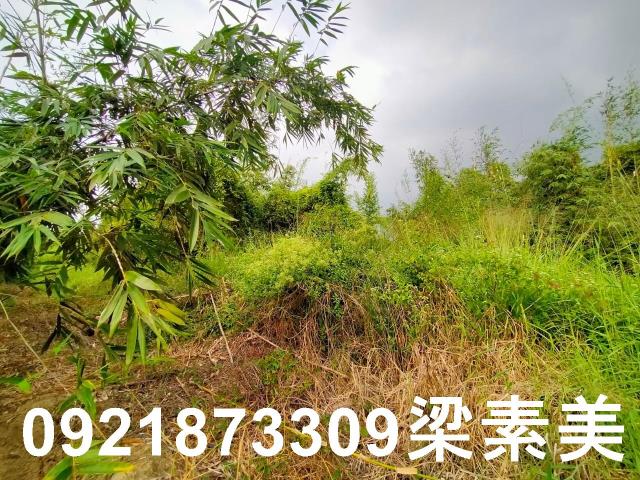 台南關廟農地-2