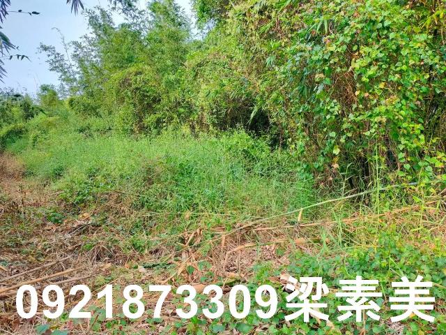 台南關廟農地-4