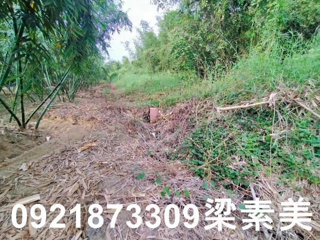 台南關廟農地-6