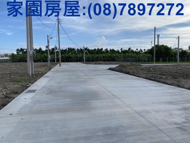 新園農地-10