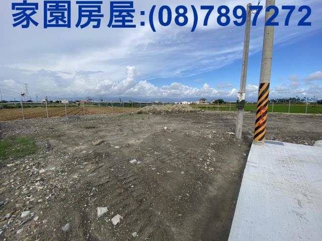 新園農地-9