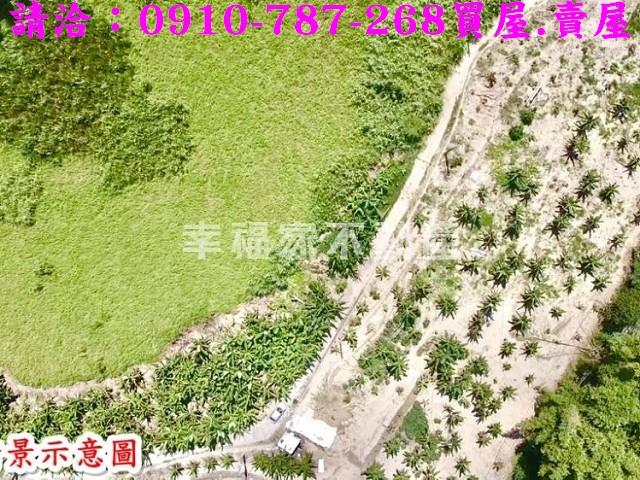 左鎮農地-12
