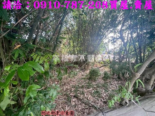 東山農地-9