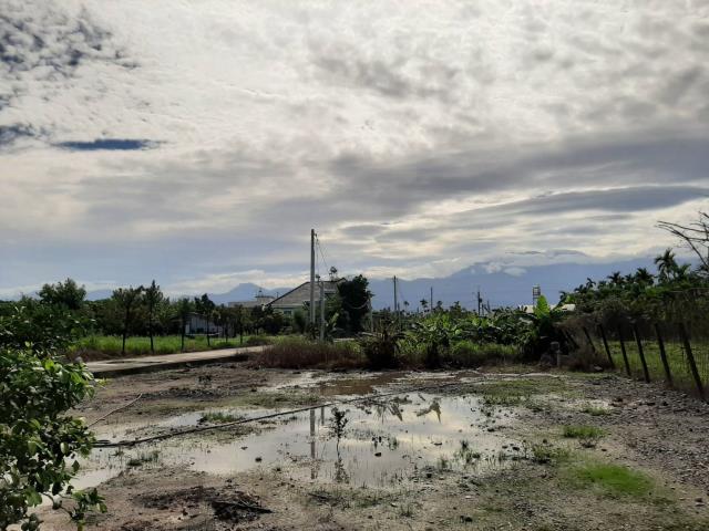 內埔農地-5