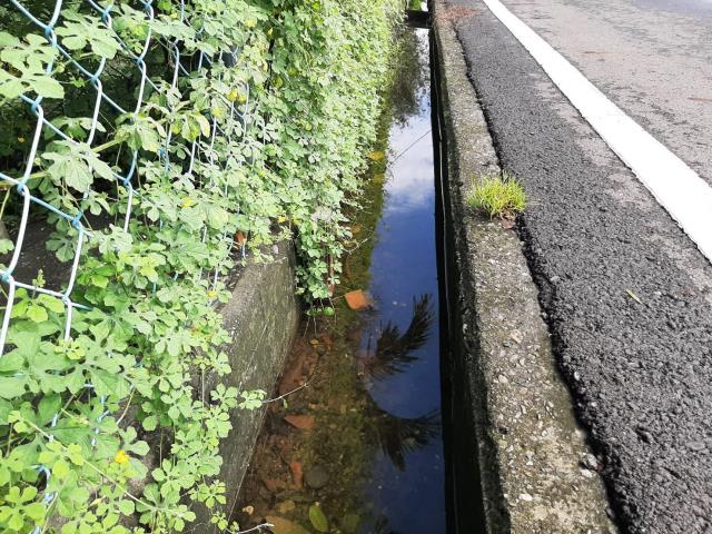 內埔農地-6