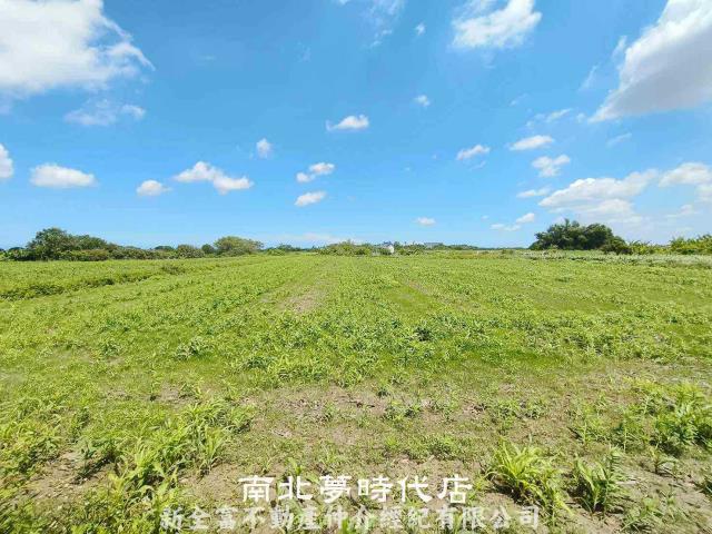 台南鹽水農地-5