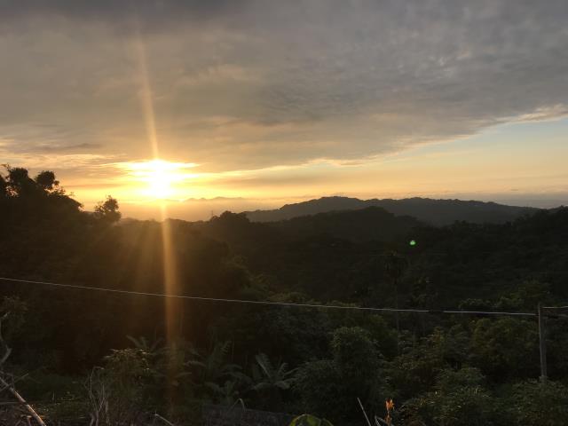 台中太平農地-10