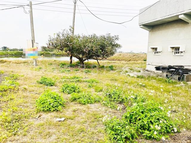 台南安南農地-1