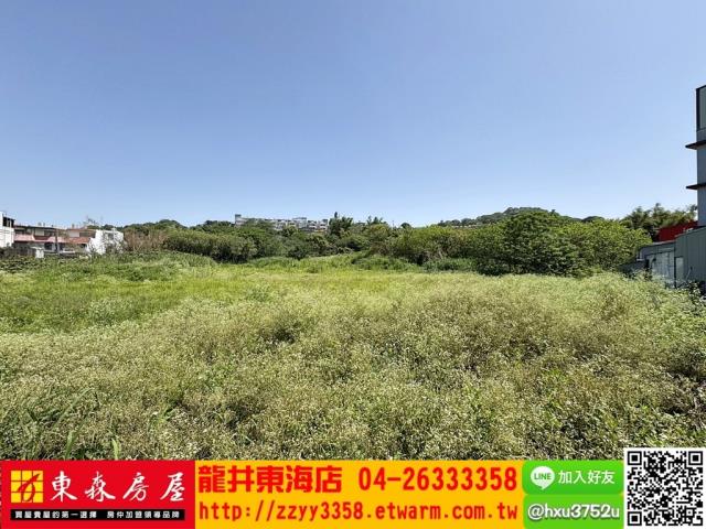 台中大肚工業地-3