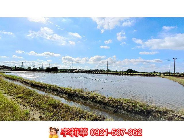 台南官田農地-11