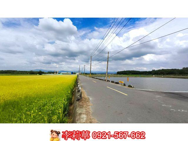 台南官田農地-1