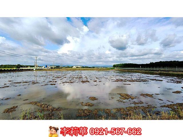 台南官田農地-6