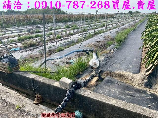 東山農地-6