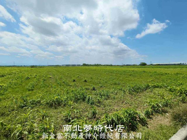 鹽水農地-1